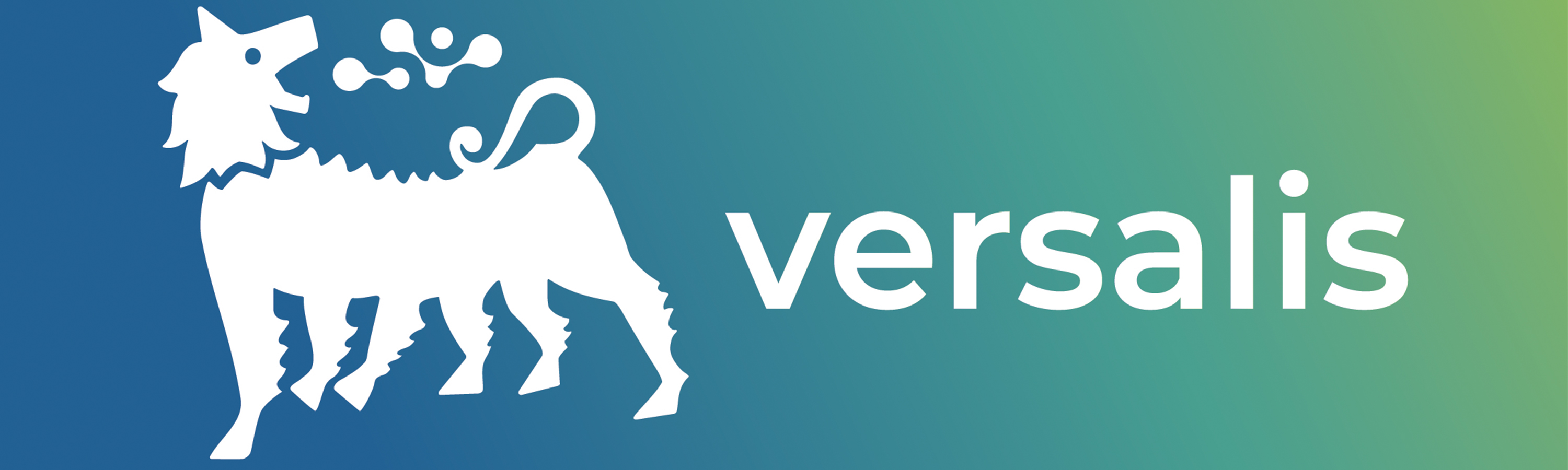 versalis_logo.jpg
