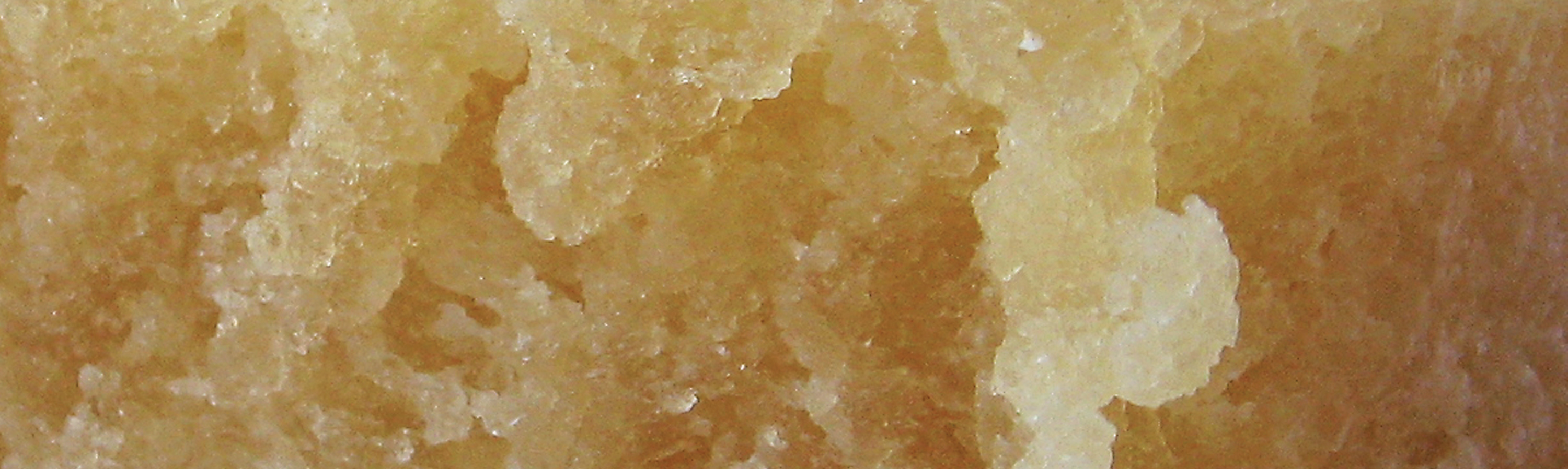 elastomeri-sostenibilita-versalis.jpg elastomeri-sostenibilita-versalis.jpg
