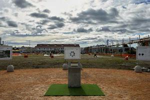 3T3A2850.jpg