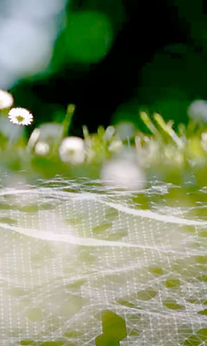 video-home-versalis.jpg